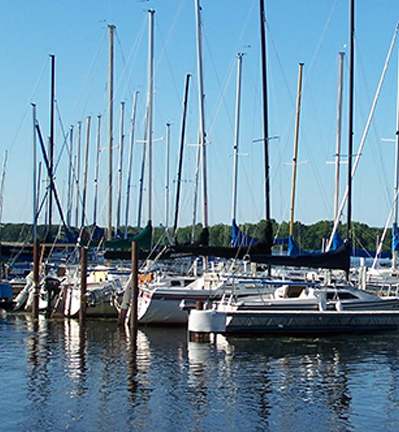 Sailboats on the water